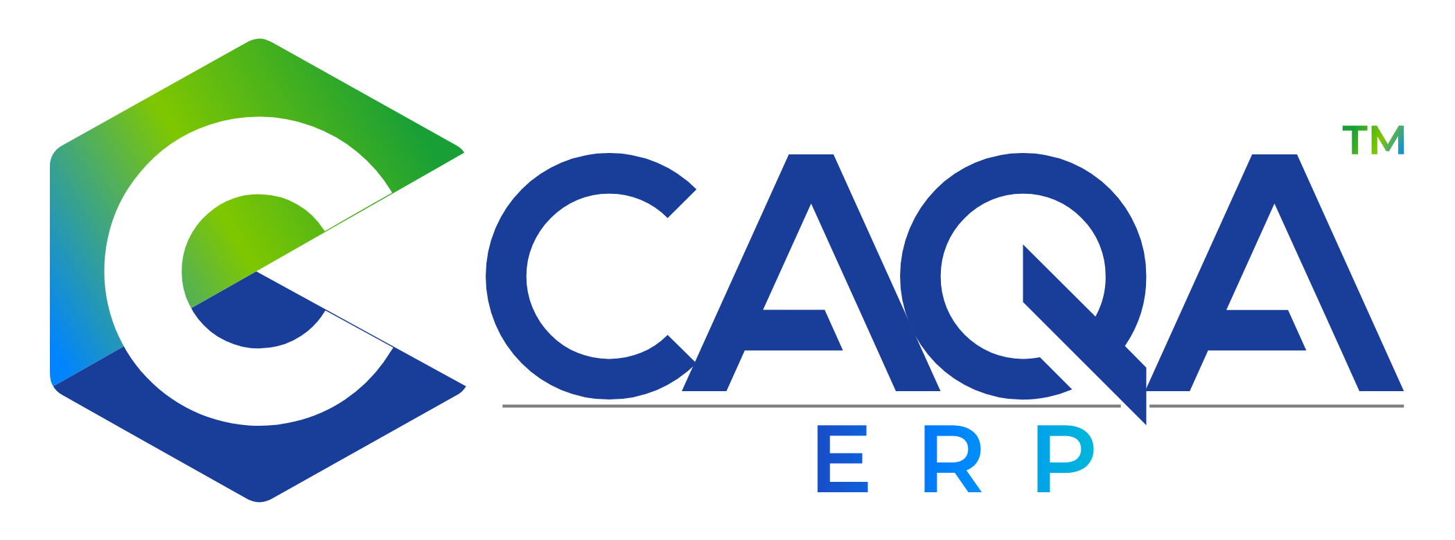 CAQA ERP logo